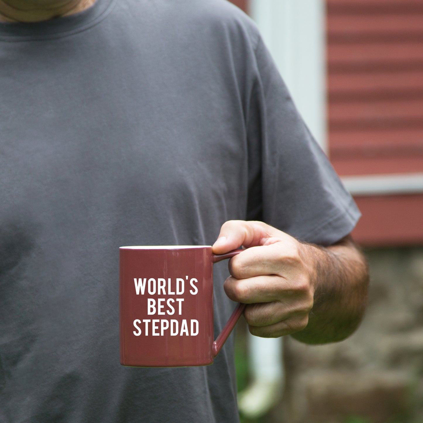 World's Best Stepdad Mug