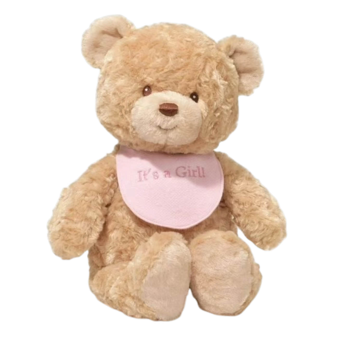 Gund Bib Bear It's a Girl Pink
