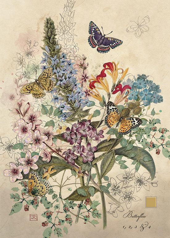 Bug Art Botanical Butterflies Card