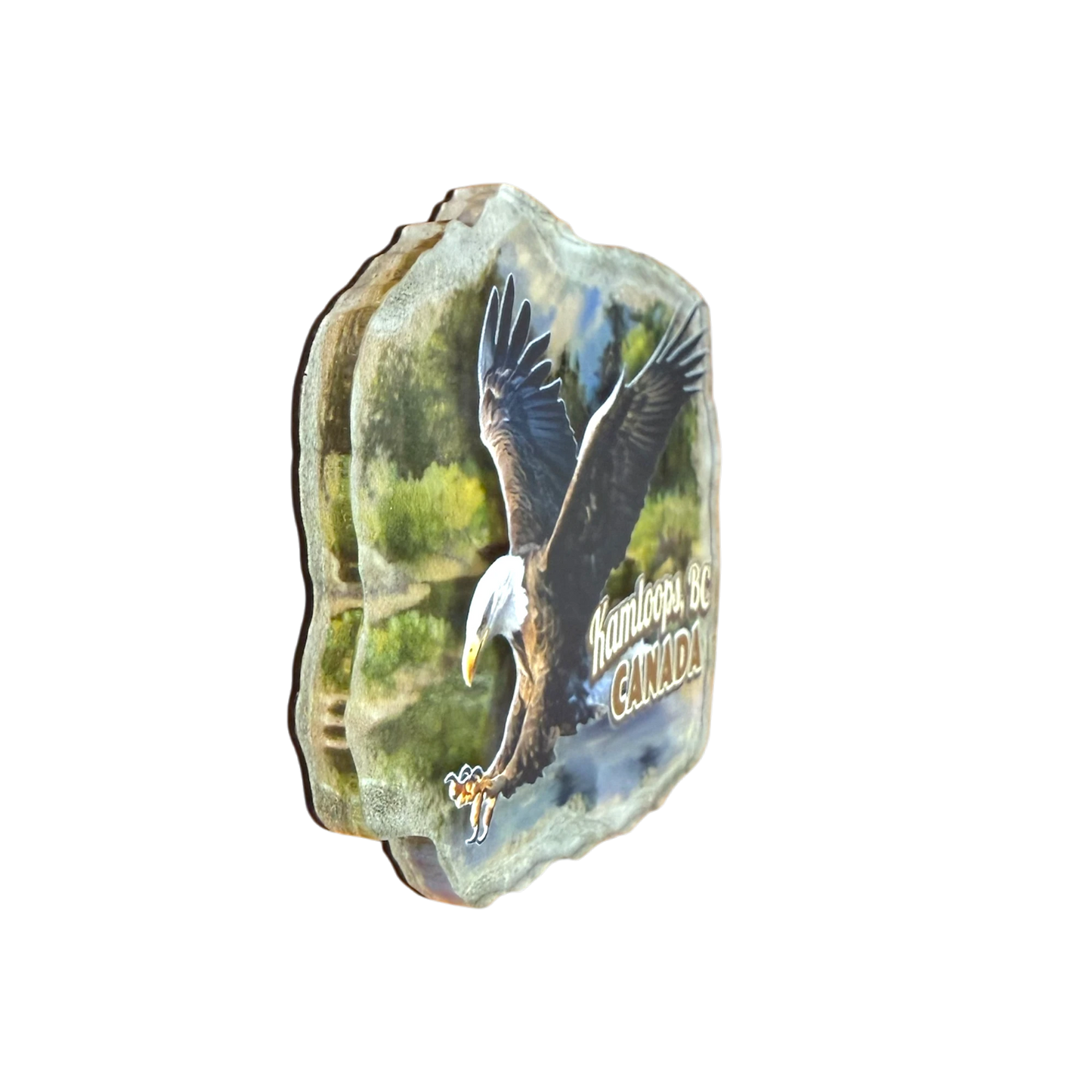 Kamloops Magnet Eagle