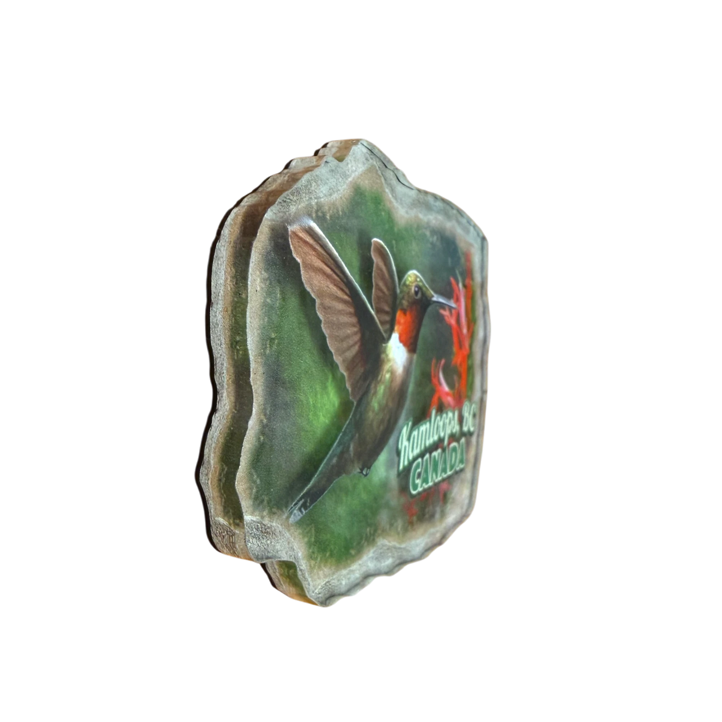Kamloops Magnet Hummingbird