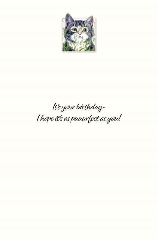 PP Birthday Card Abigail