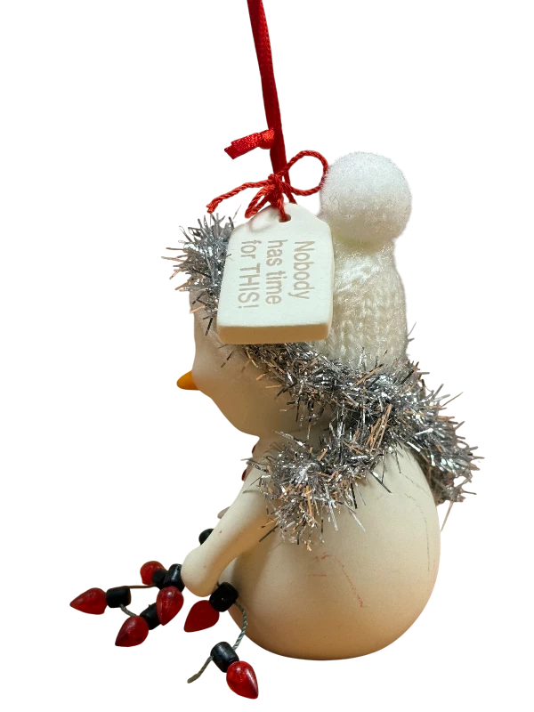 SnowPinions NOBODY HAS TIME FOR THIS