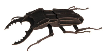 3D PAPER MODEL - Beetle