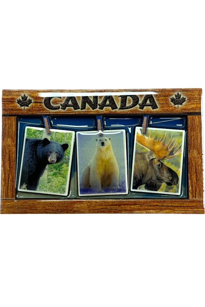 Canadian Theme Magnet