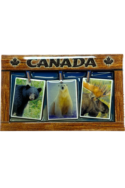 Canadian Theme Magnet