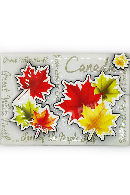 Canada Maple Leaves Magnet