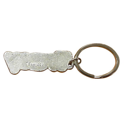 Colourful Name Keychain Tracy