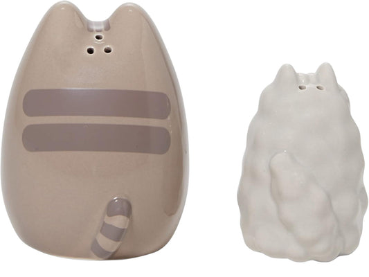 Salt and Pepper Shaker Set