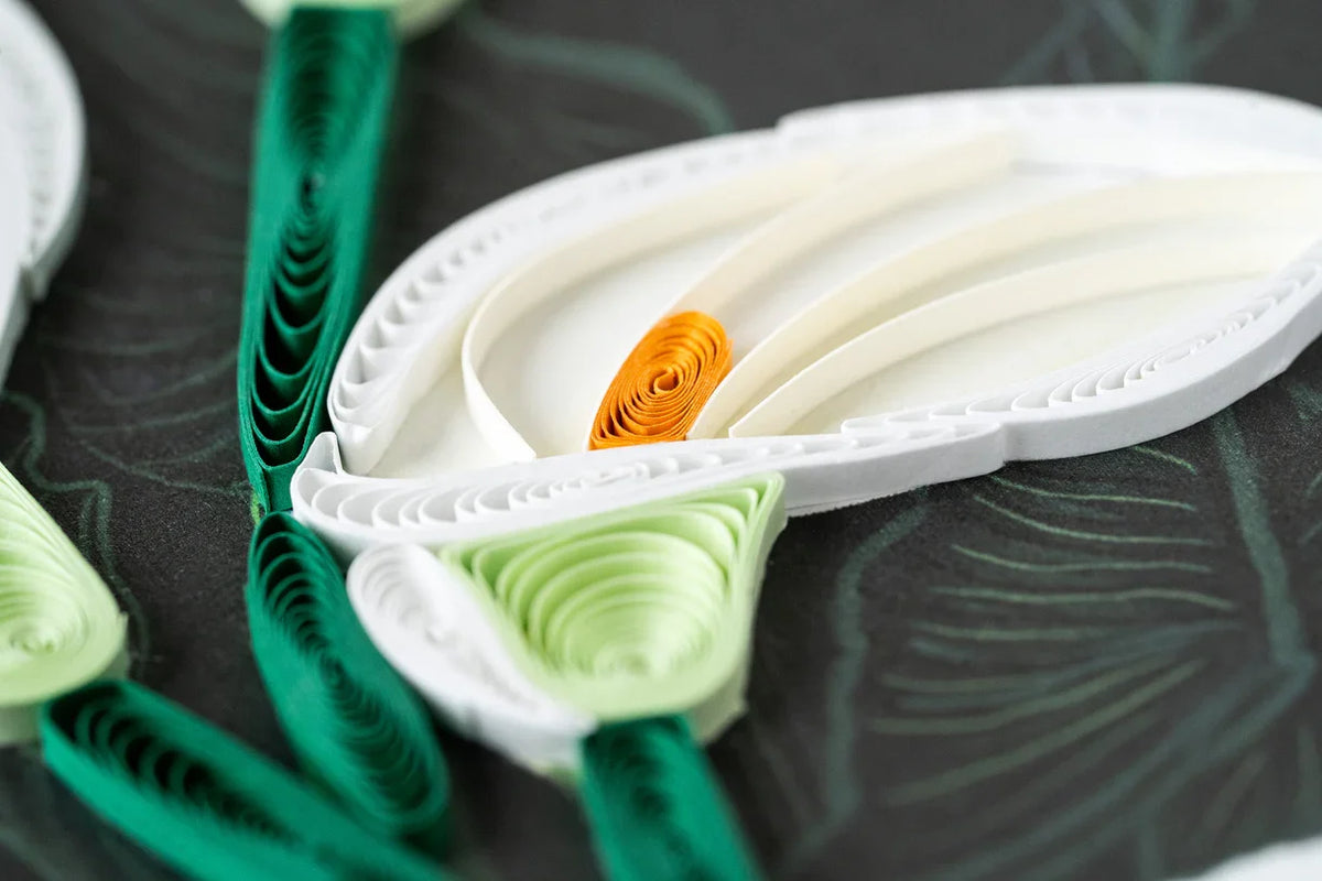 Quilled Calla Lily Greeting Card