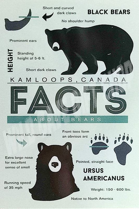 Kamloops Magnet Bear Facts