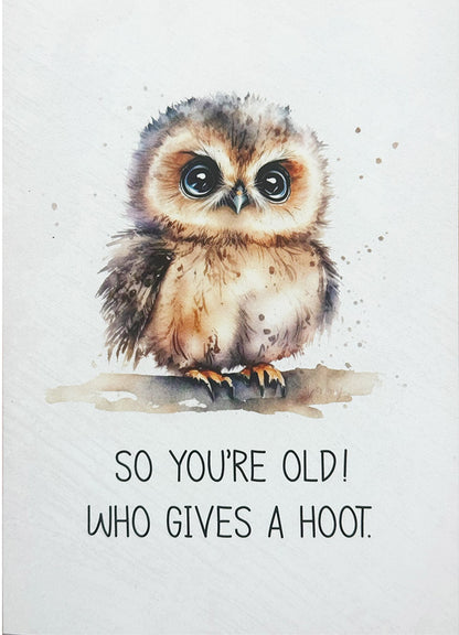 Birthday Card Owlet