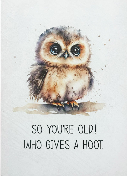 Birthday Card Owlet