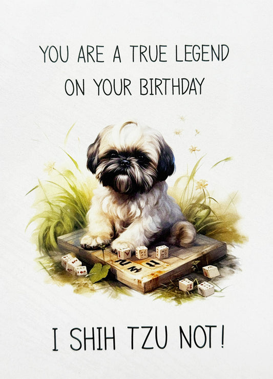Birthday Card Dog
