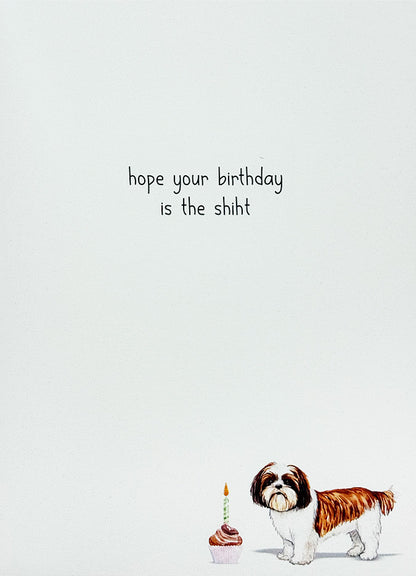 Birthday Card Dog