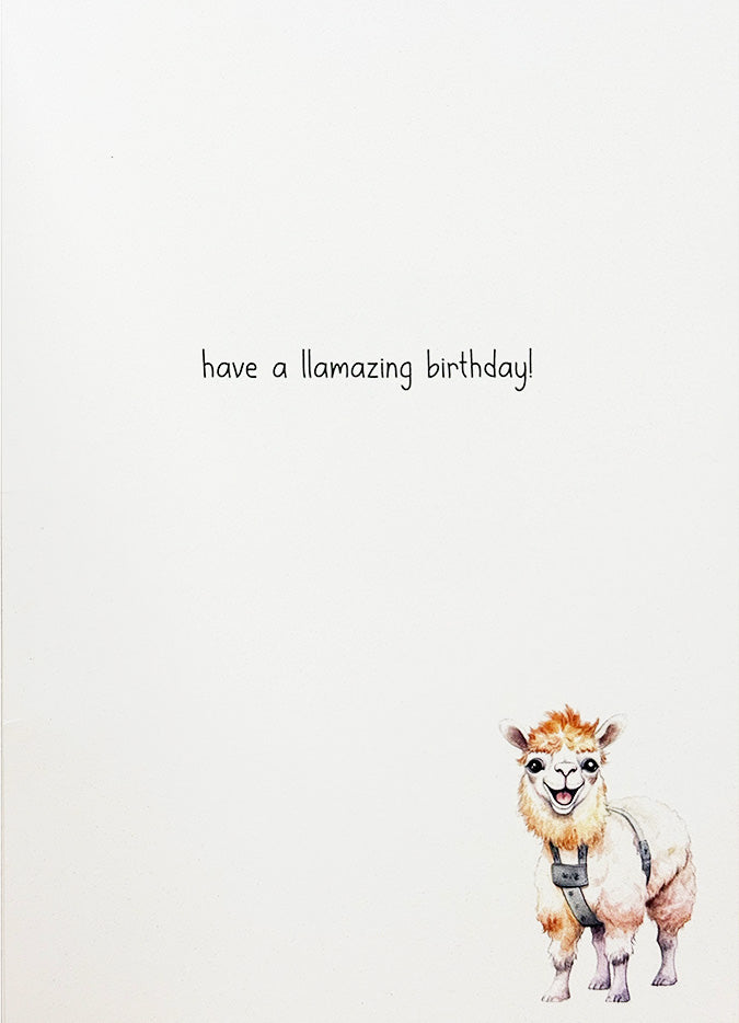 Birthday Card Llama