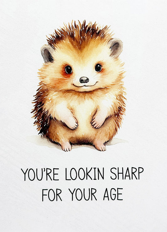 Birthday Card Hedgehog