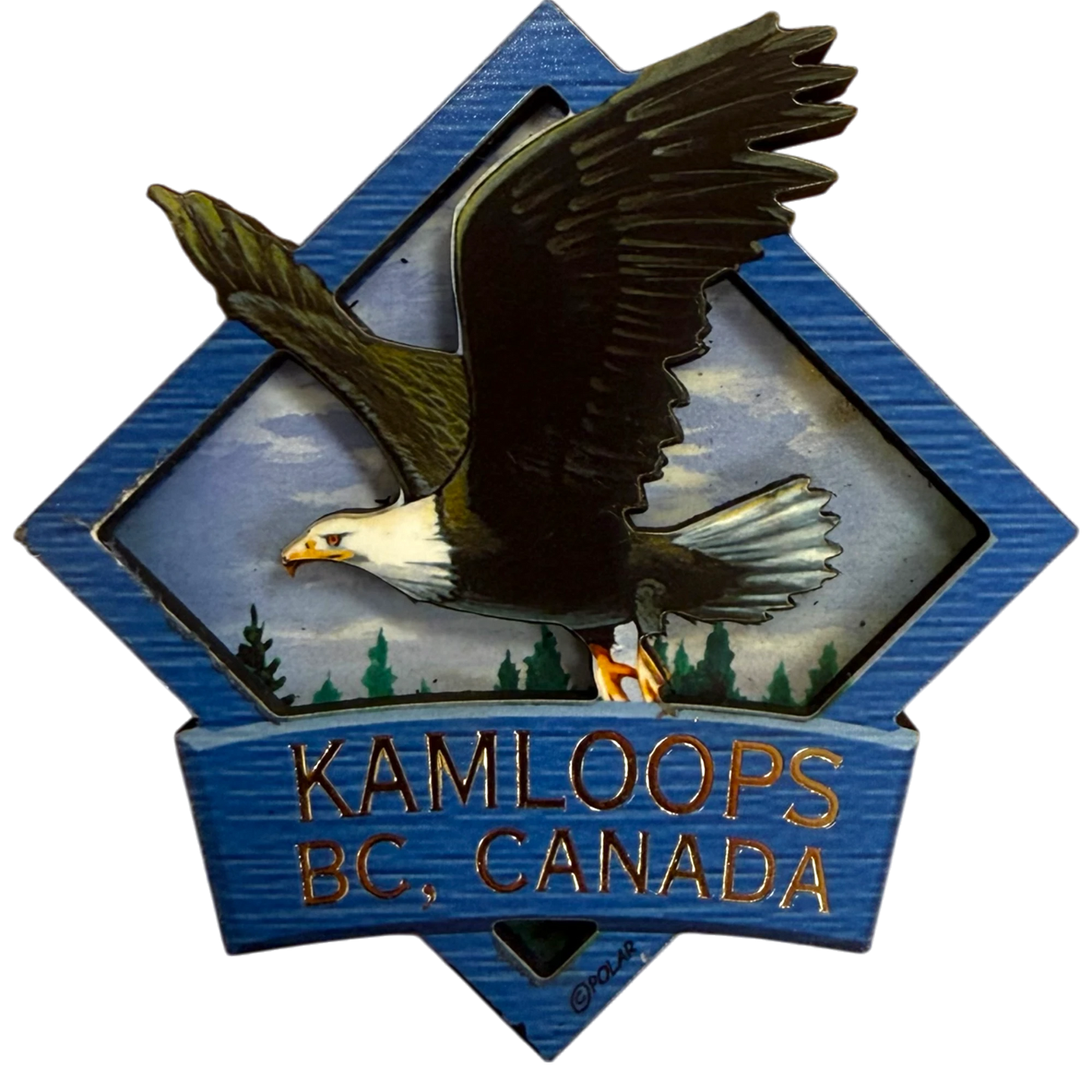 Kamloops 2D Magnet Eagle