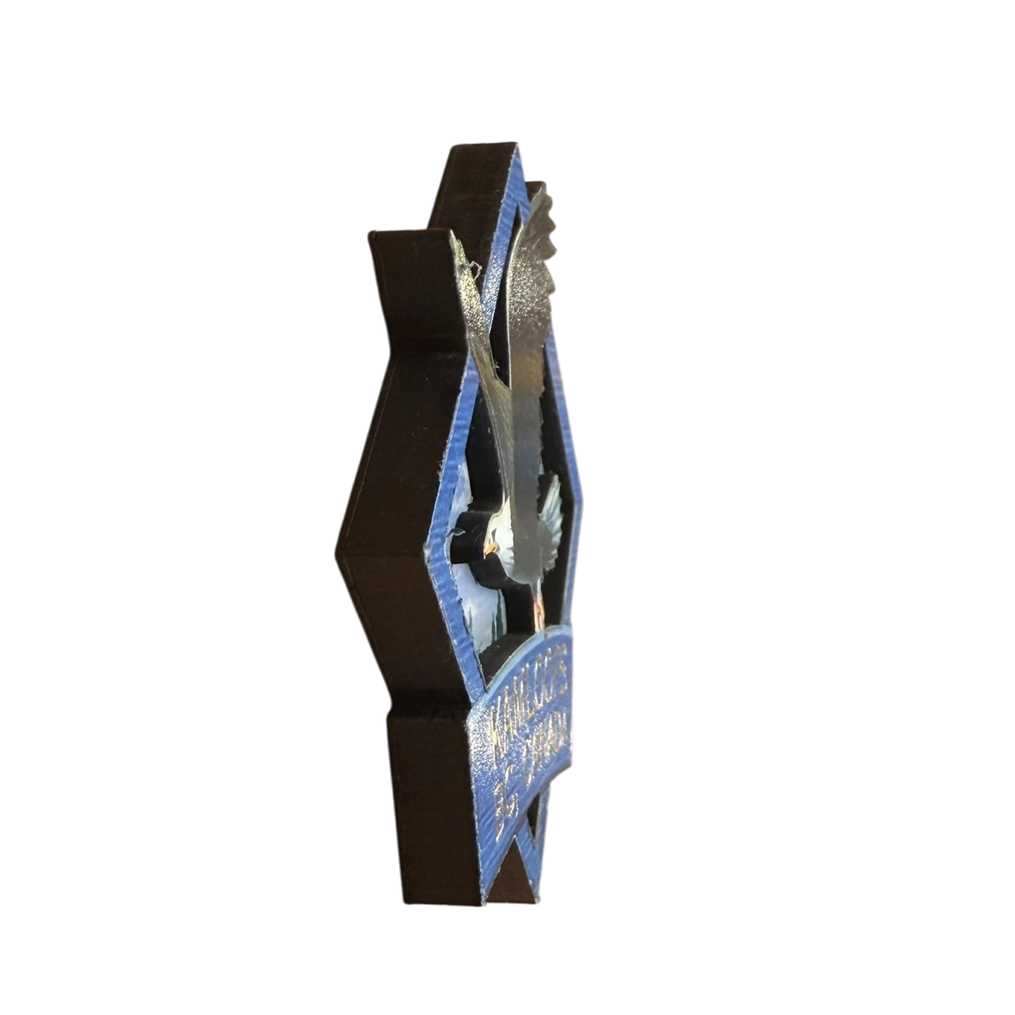 Kamloops 2D Magnet Eagle