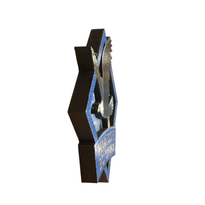 Kamloops 2D Magnet Eagle