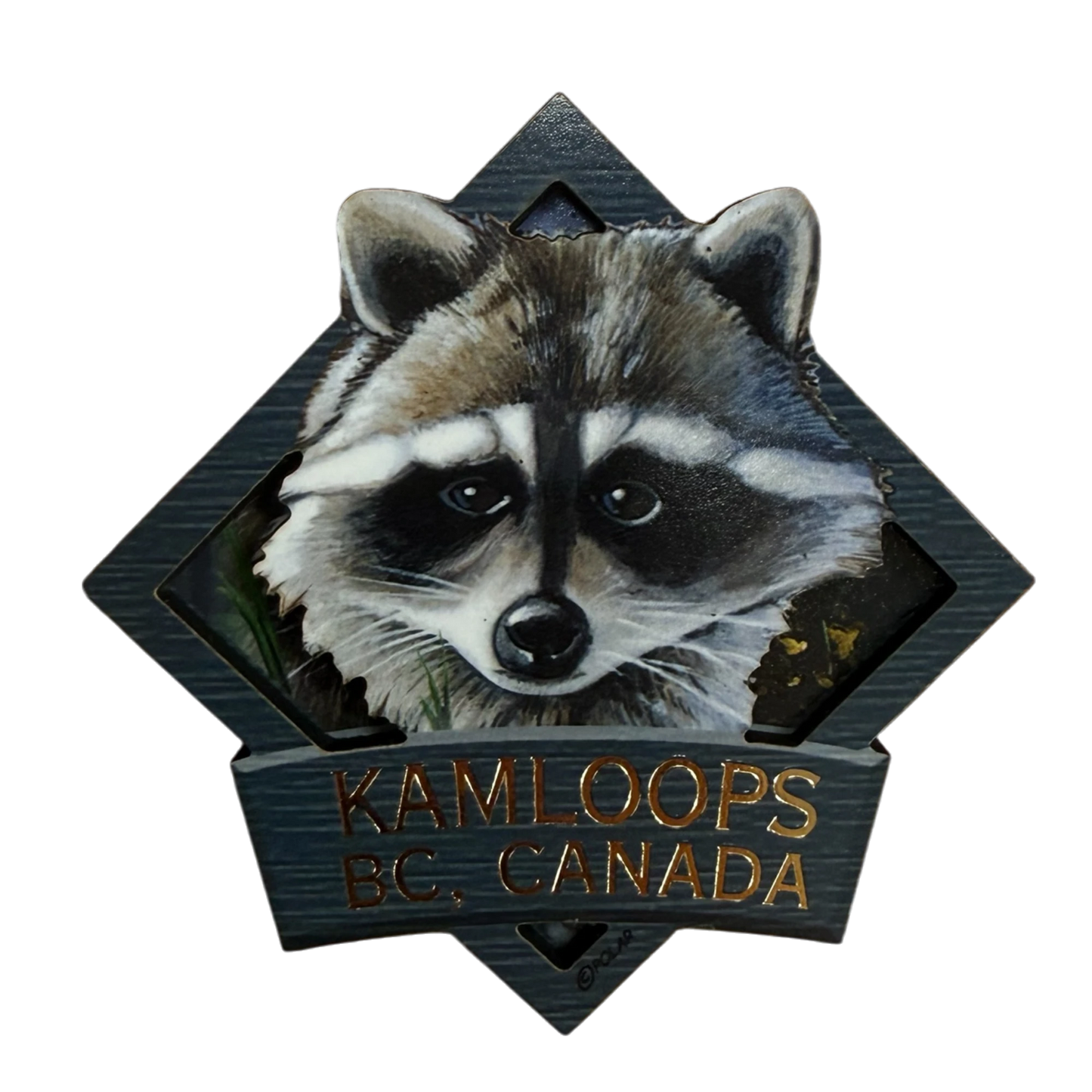 Kamloops 2D Magnet Raccoon