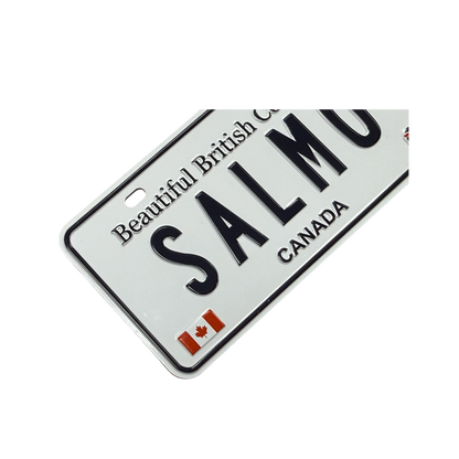 Salmo Magnet