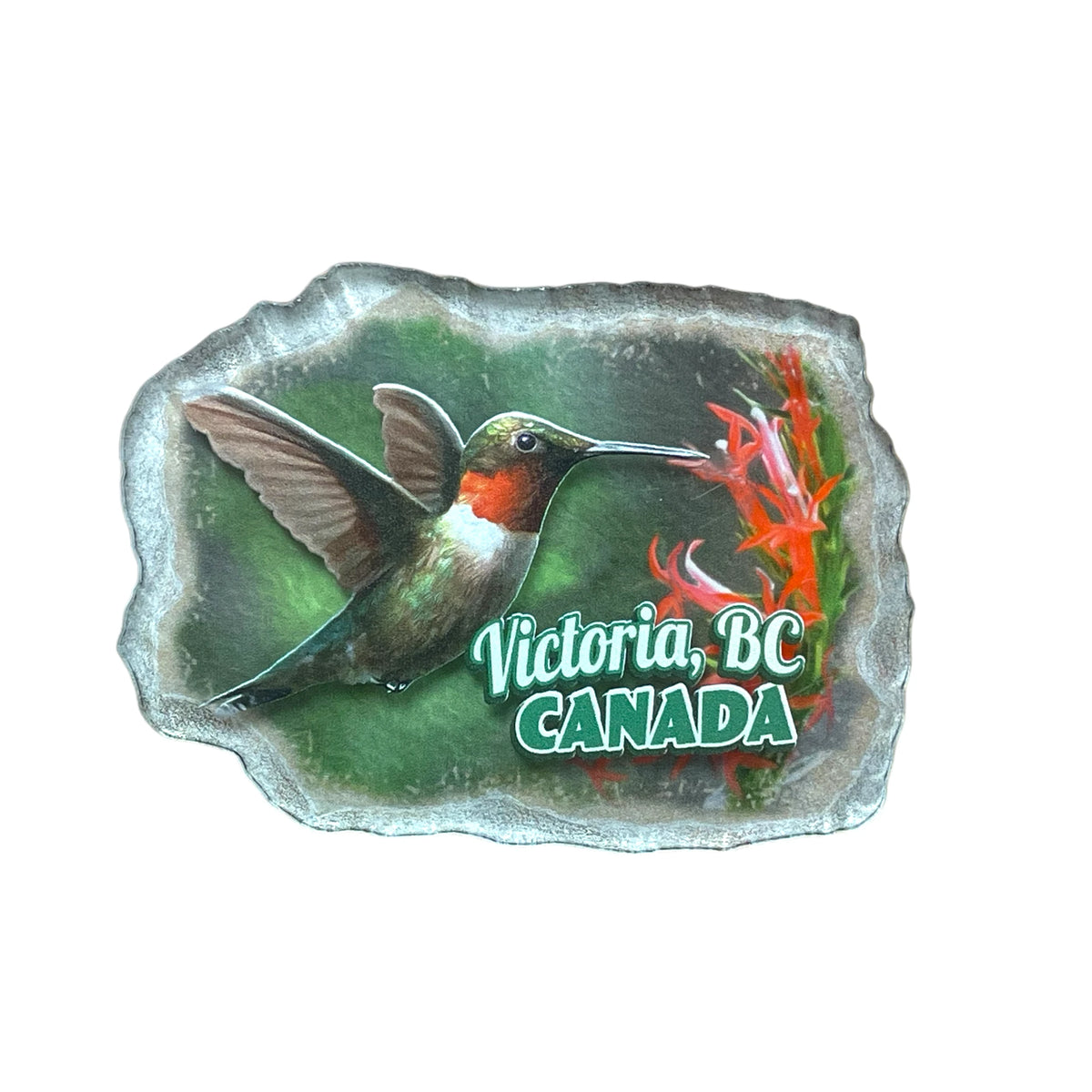 Victoria Magnet Hummingbird