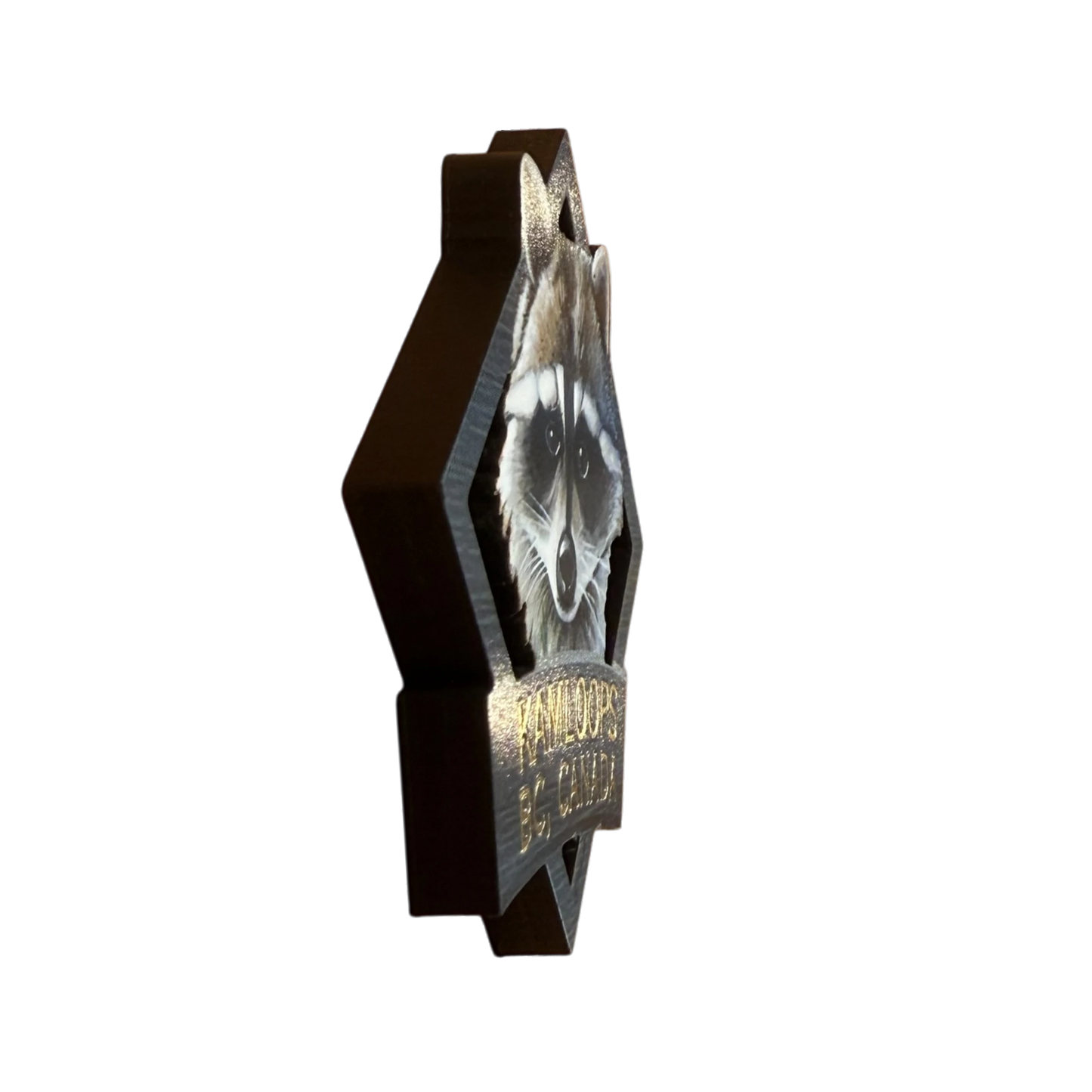 Kamloops 2D Magnet Raccoon