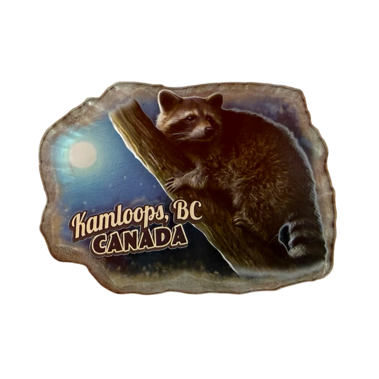Kamloops Magnet Raccoon