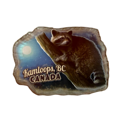 Kamloops Magnet Raccoon
