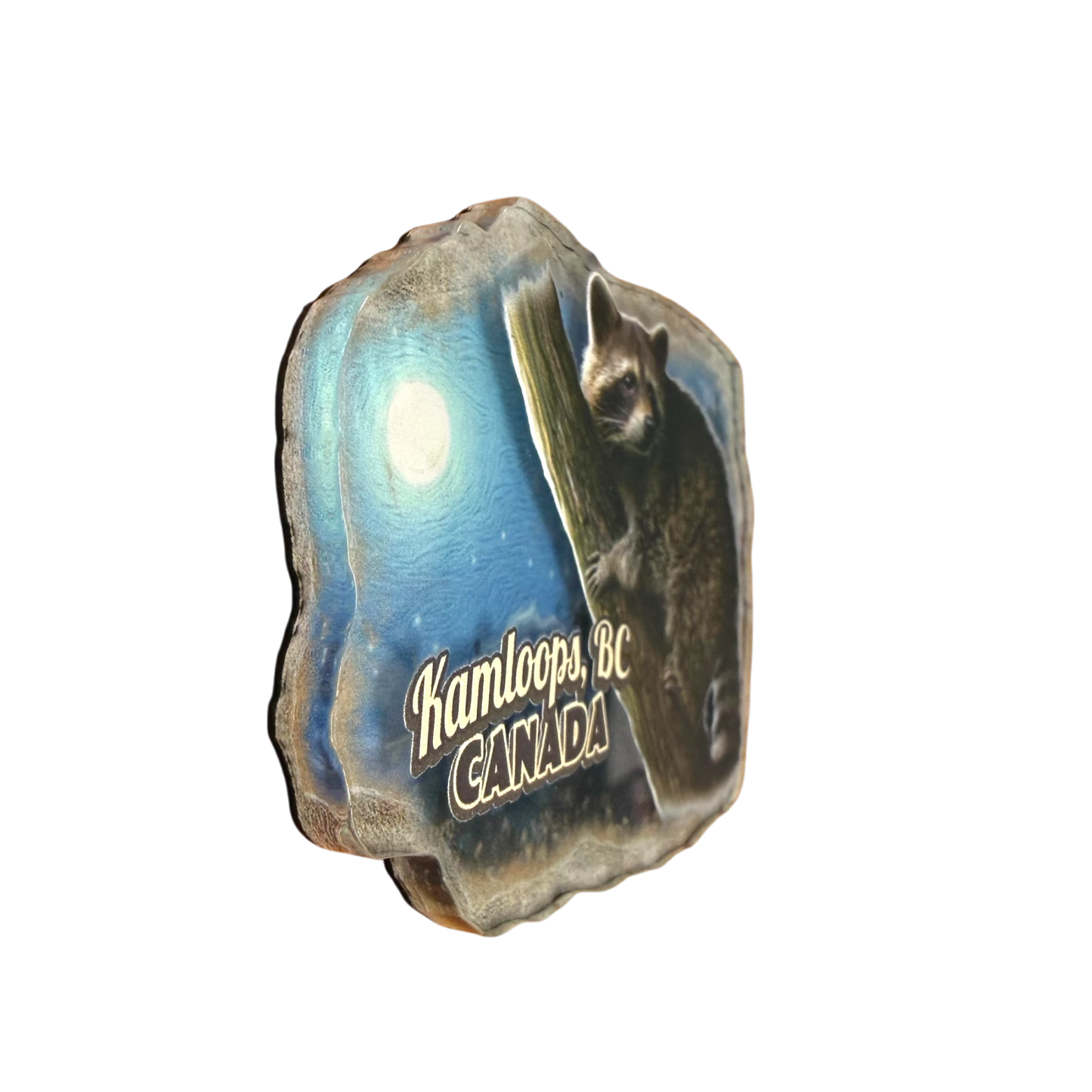 Kamloops Magnet Raccoon
