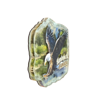 Kamloops Magnet Eagle