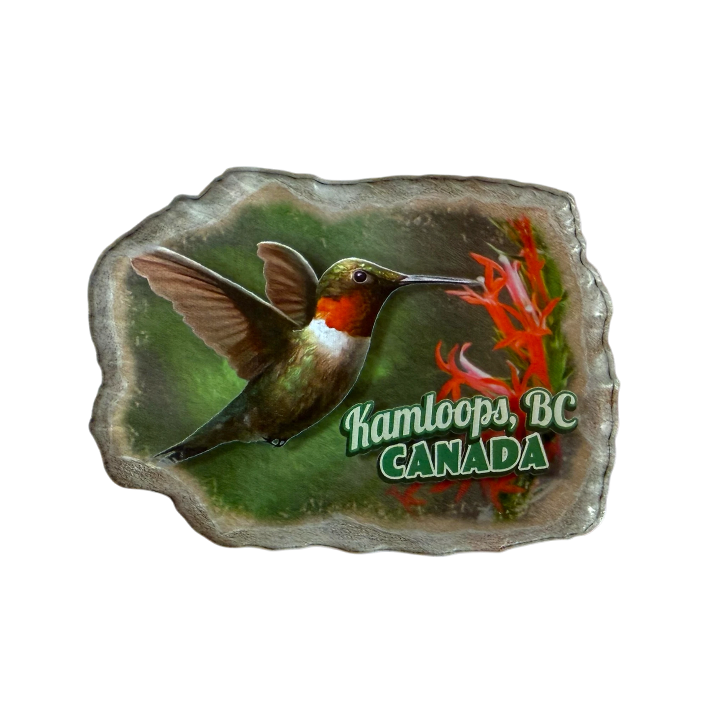 Kamloops Magnet Hummingbird