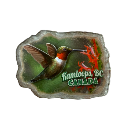 Kamloops Magnet Hummingbird