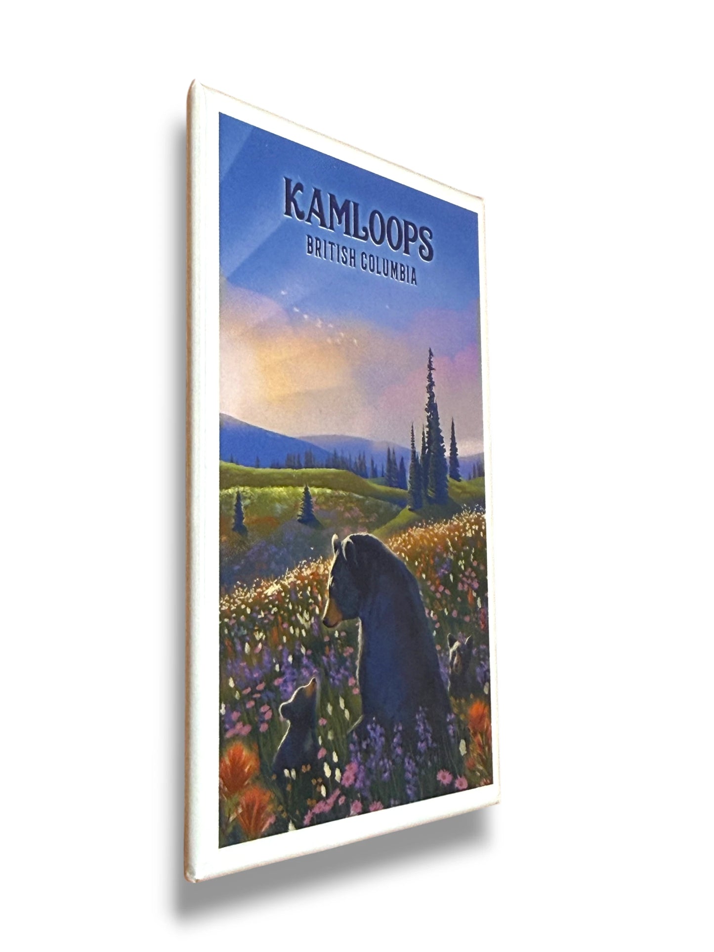 Kamloops Magnet Bear Family in Field