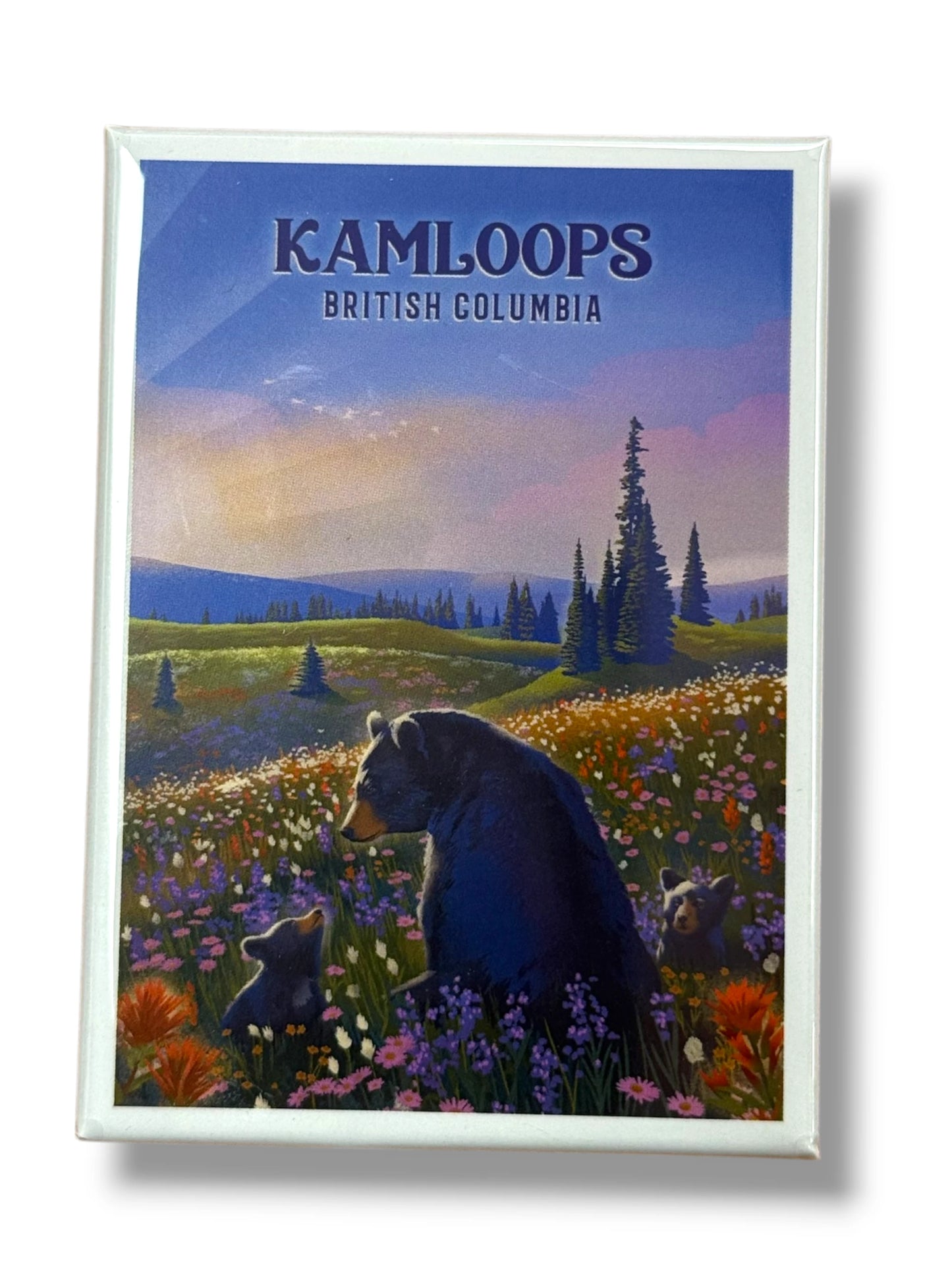 Kamloops Magnet Bear Family in Field