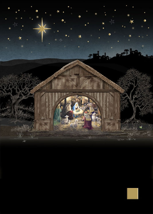 Bug Art Nativity Manger Card