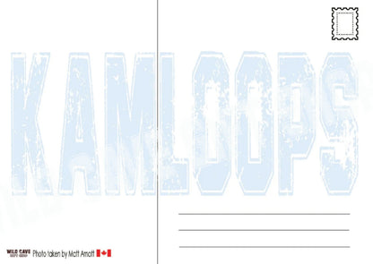 Kamloops City Postcard Beaver