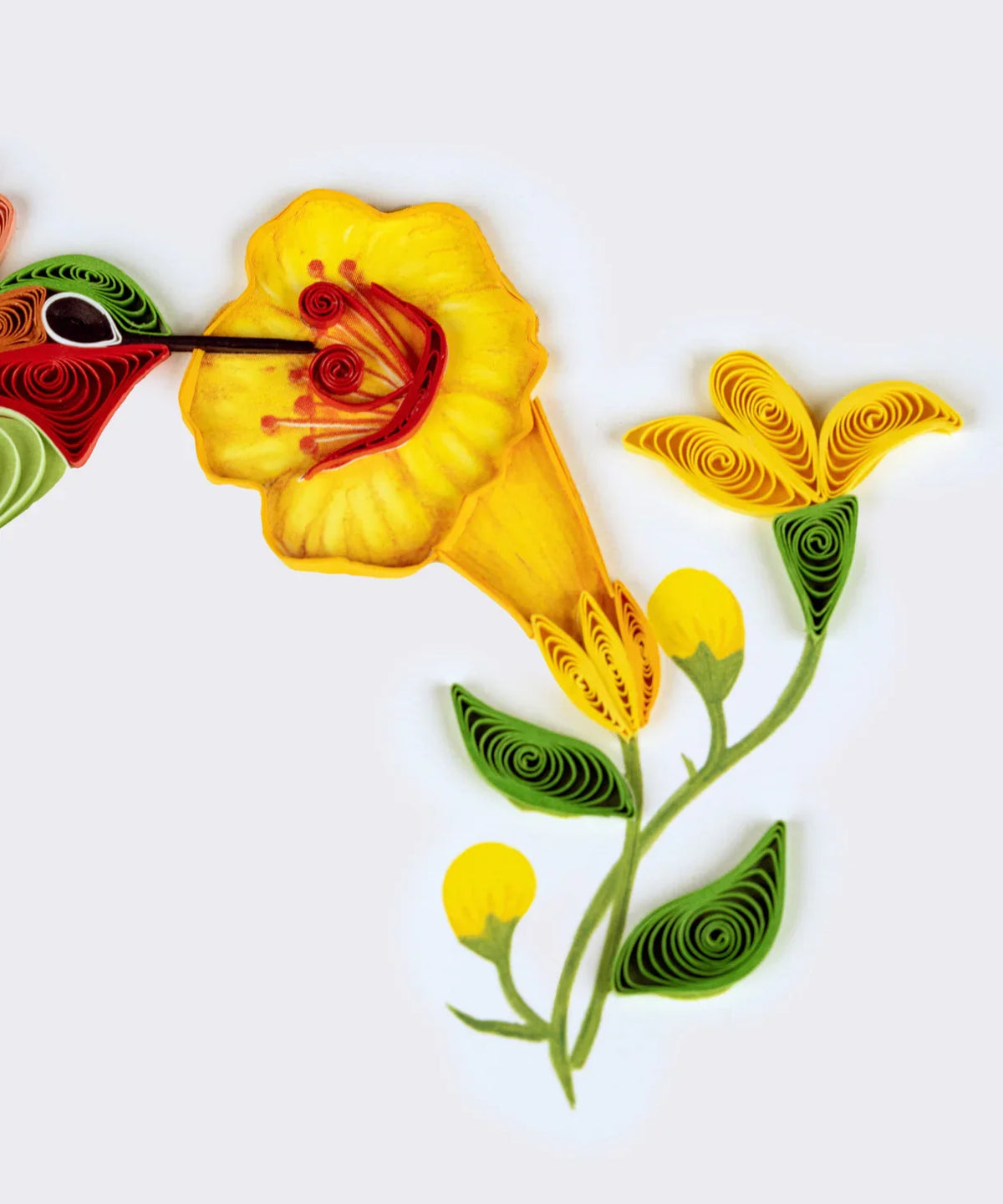 Quilled Hummingbird Greeting Card