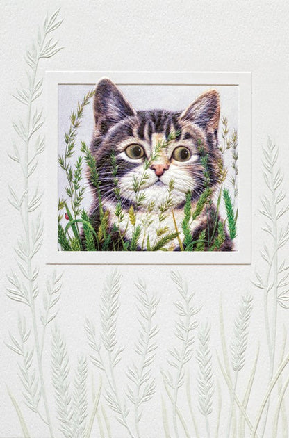 PP Birthday Card Abigail