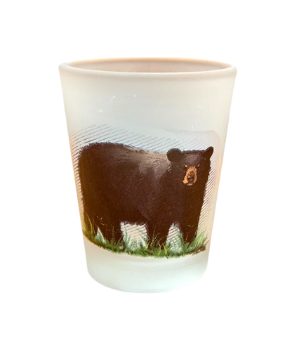 Kamloops Black Bear Shot glass