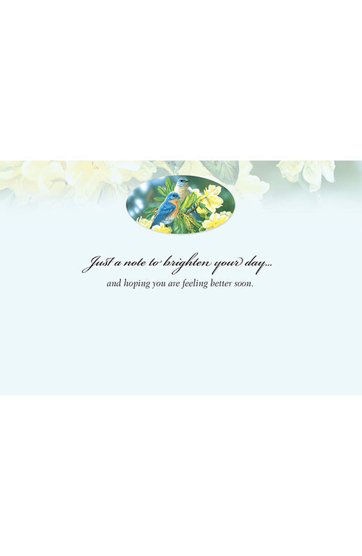 PP Get Well Card Bluebirds In Rhododendren