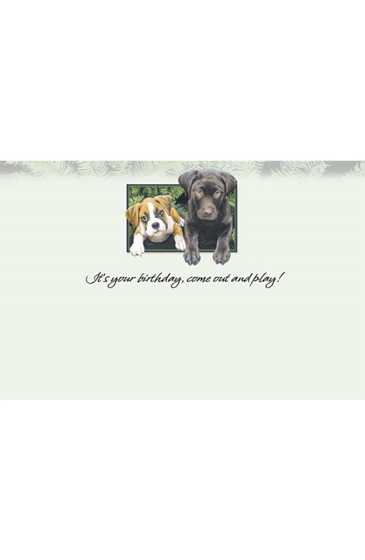 PP Birthday Card Good Neighbours