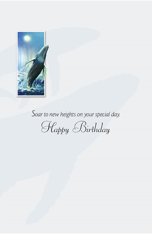PP Birthday Card Humpback Whale