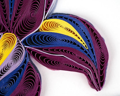 Quilled Iris Flower Greeting Card
