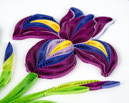 Quilled Iris Flower Greeting Card