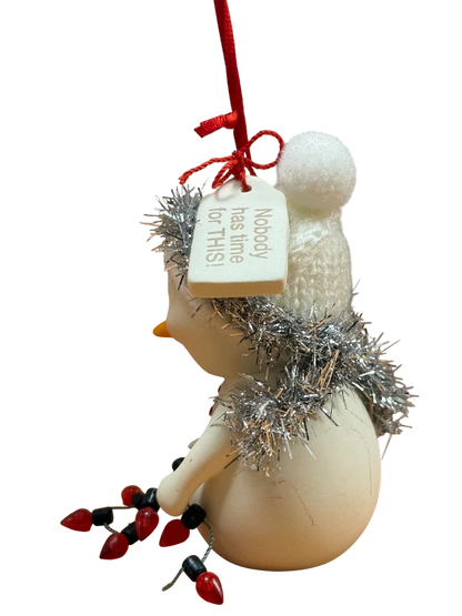 SnowPinions NOBODY HAS TIME FOR THIS