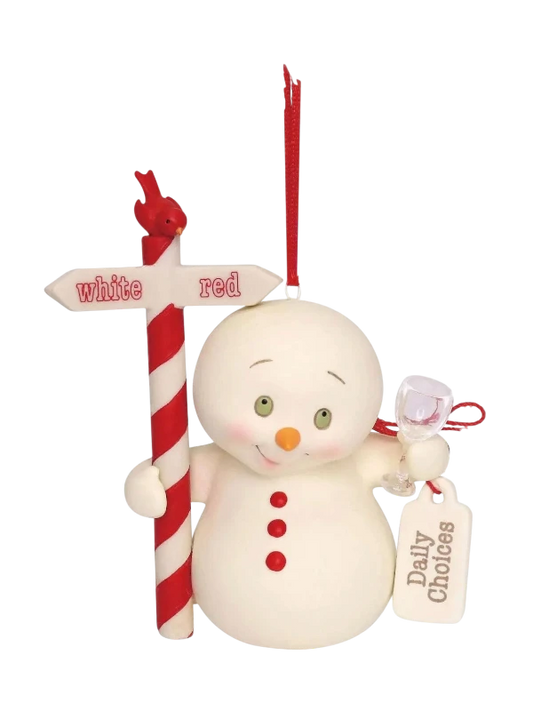 SnowPinions DAILY CHOICES