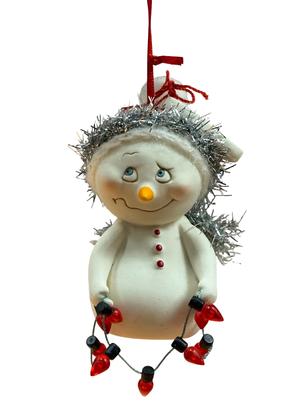 SnowPinions NOBODY HAS TIME FOR THIS